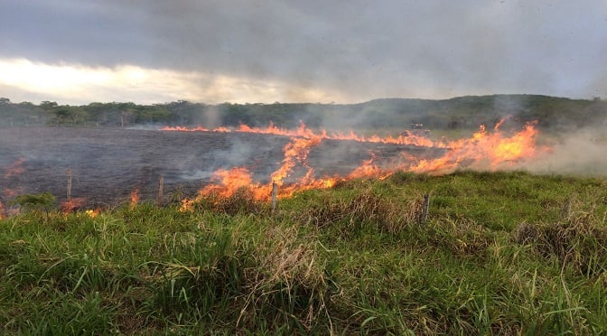 Queimada no campo