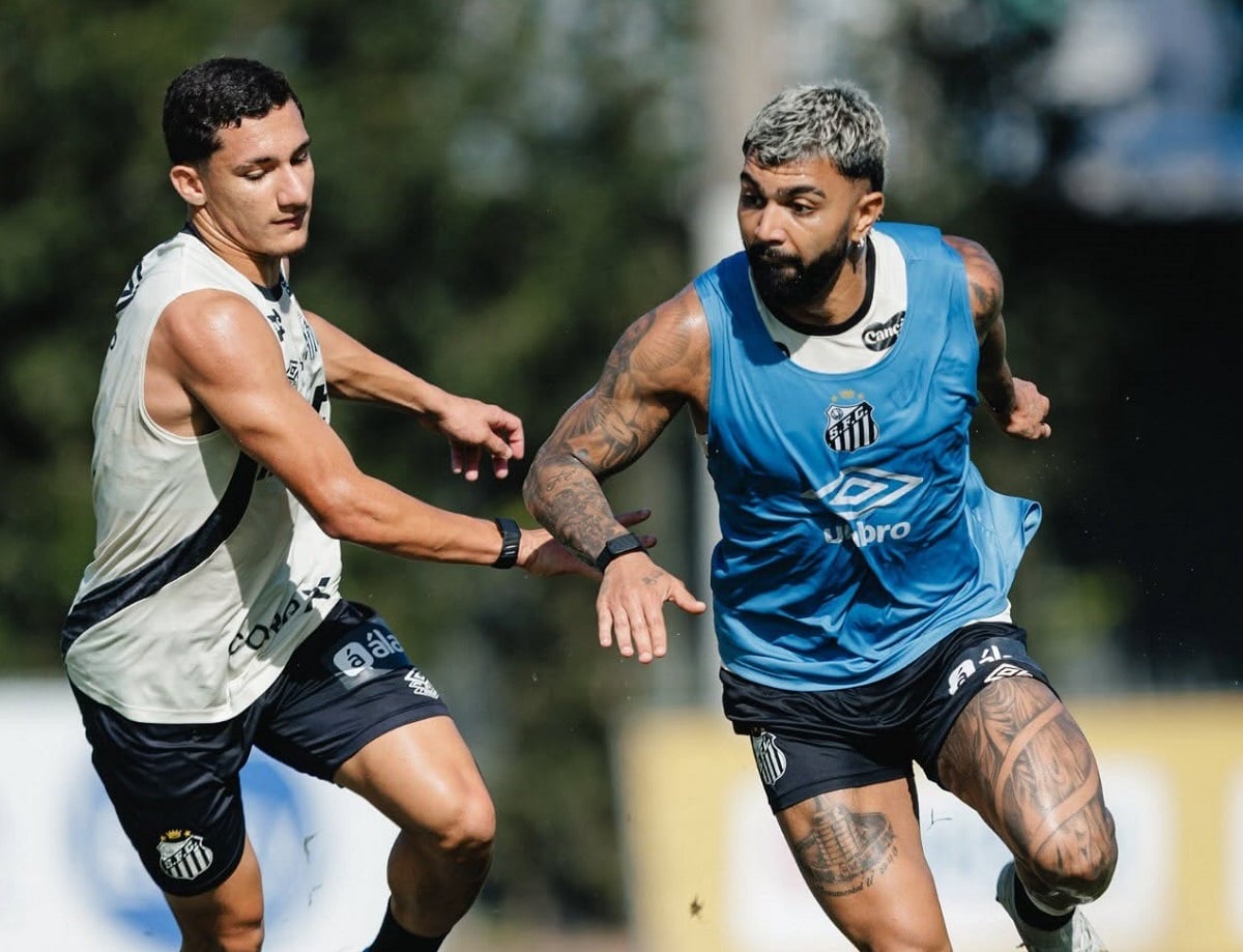 Botafogo x Santos: onde assistir ao vivo e prováveis escalações pelo Brasileirão. Imagem: Raul Baretta/Santos FC