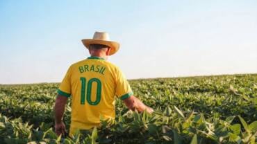 Enquanto a Copa termina, Mato Grosso volta ao trabalho e mantém o Brasil em movimento