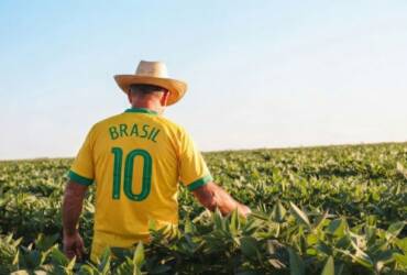 Enquanto a Copa termina, Mato Grosso volta ao trabalho e mantém o Brasil em movimento