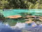 Primavera do Leste quer transformar turismo de negócios em dinheiro no bolso do comércio
