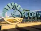 Caatinga atrai investimentos para projetos no Nordeste