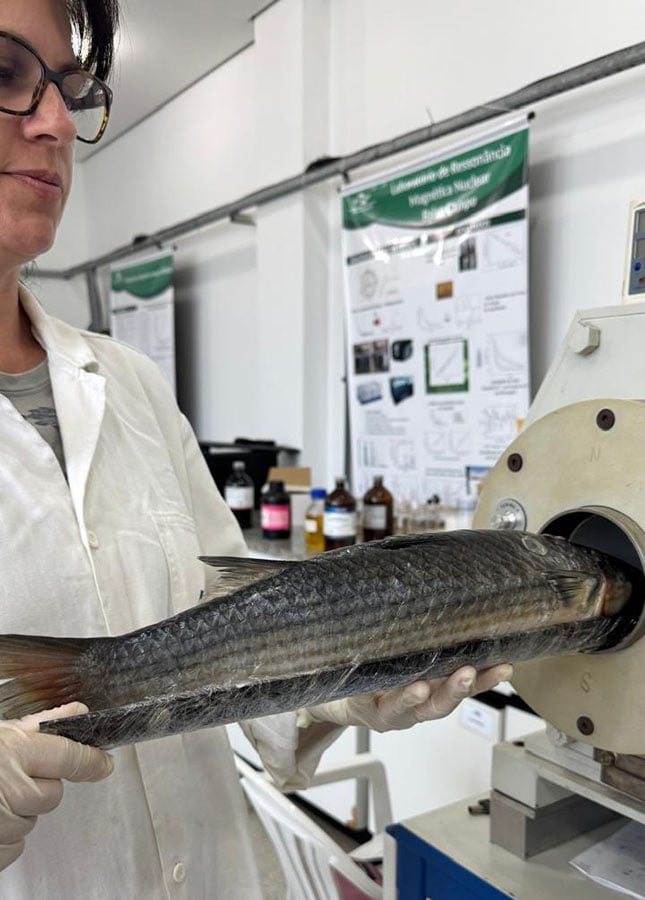Cientistas identificam “impressão digital química” para rastrear a origem do pescado