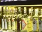 Cachaça registra crescimento recorde na cadeia produtiva brasileira