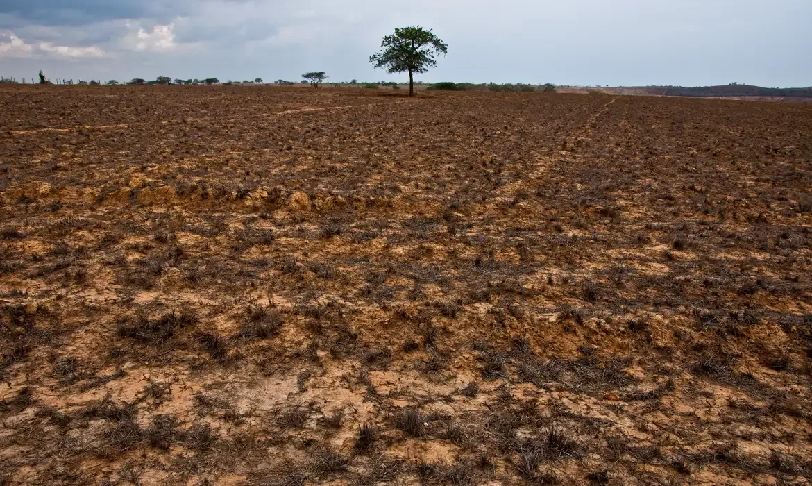 COP17 busca ampliar financiamento contra a seca