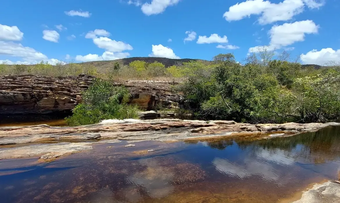 Pantanal depende de outros biomas para se recuperar