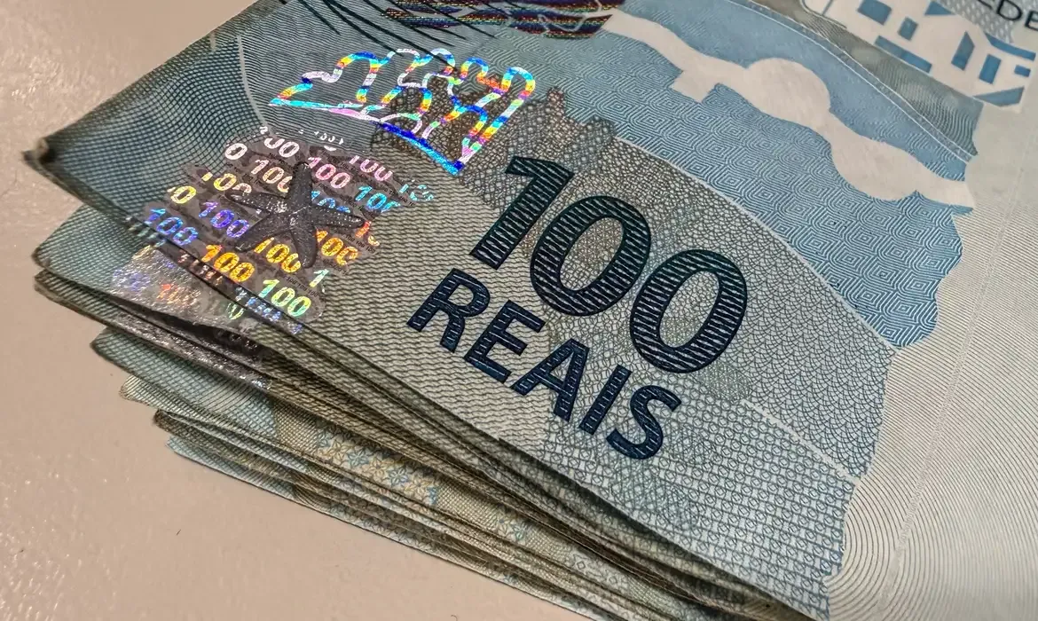 Tesouro Direto tem recorde de vendas em julho