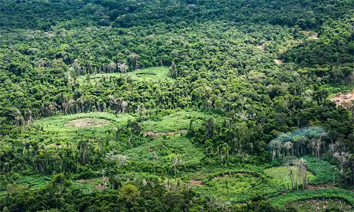Amazônia tem espécies catalogadas por indígenas