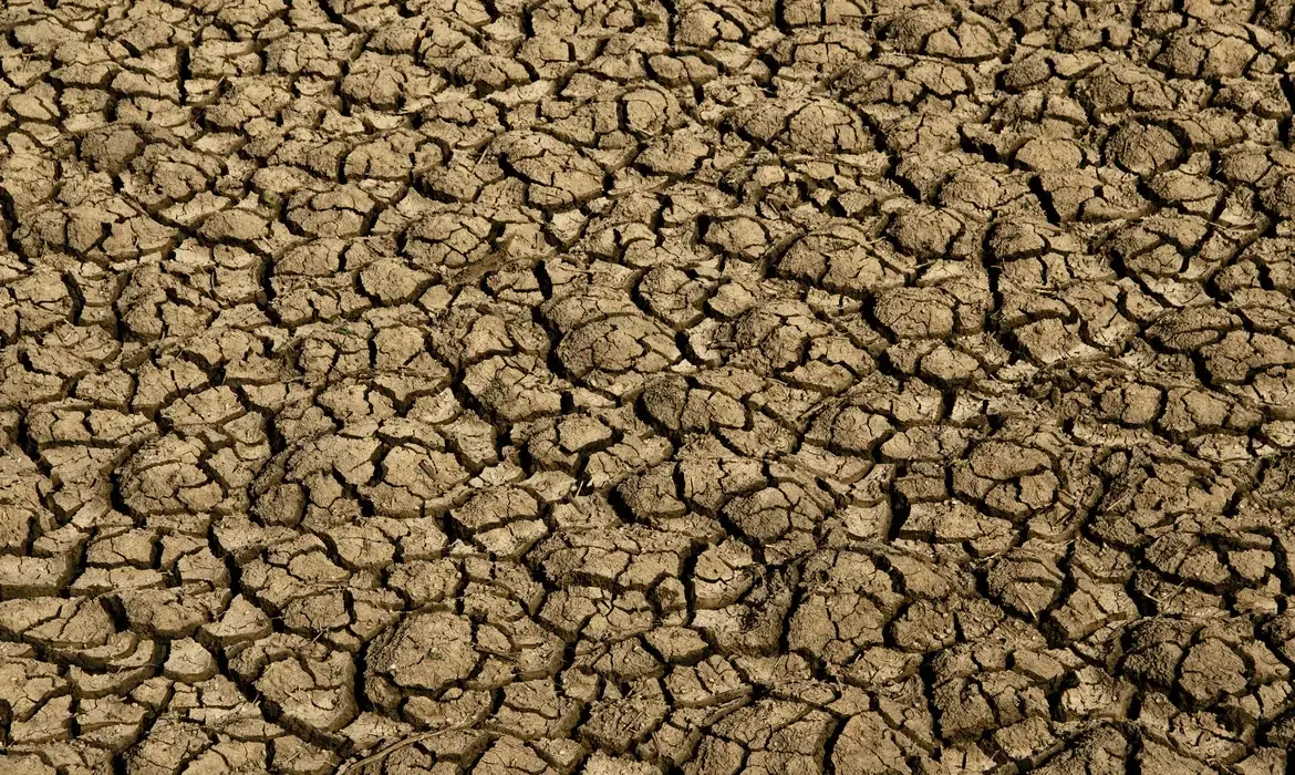 Desertificação ameaça água e alimentos no Brasil