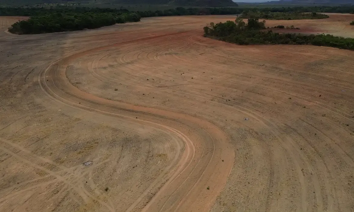 Moratória da Soja: ambientalistas criticam decisão do STF