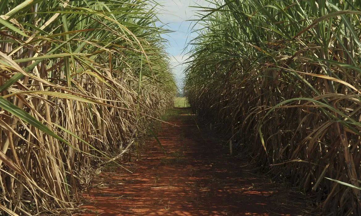 Eco Invest Brasil tem limite de remuneração ampliado