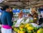 Agricultura familiar em Cuiabá ganha impulso com feiras livres e vendas digitais