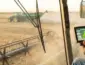 Agronegócio emprega 27,8 milhões de pessoas no Brasil, aponta Cepea