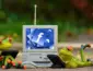 Alcance orgânico nas redes sociais: por que ele caiu tanto