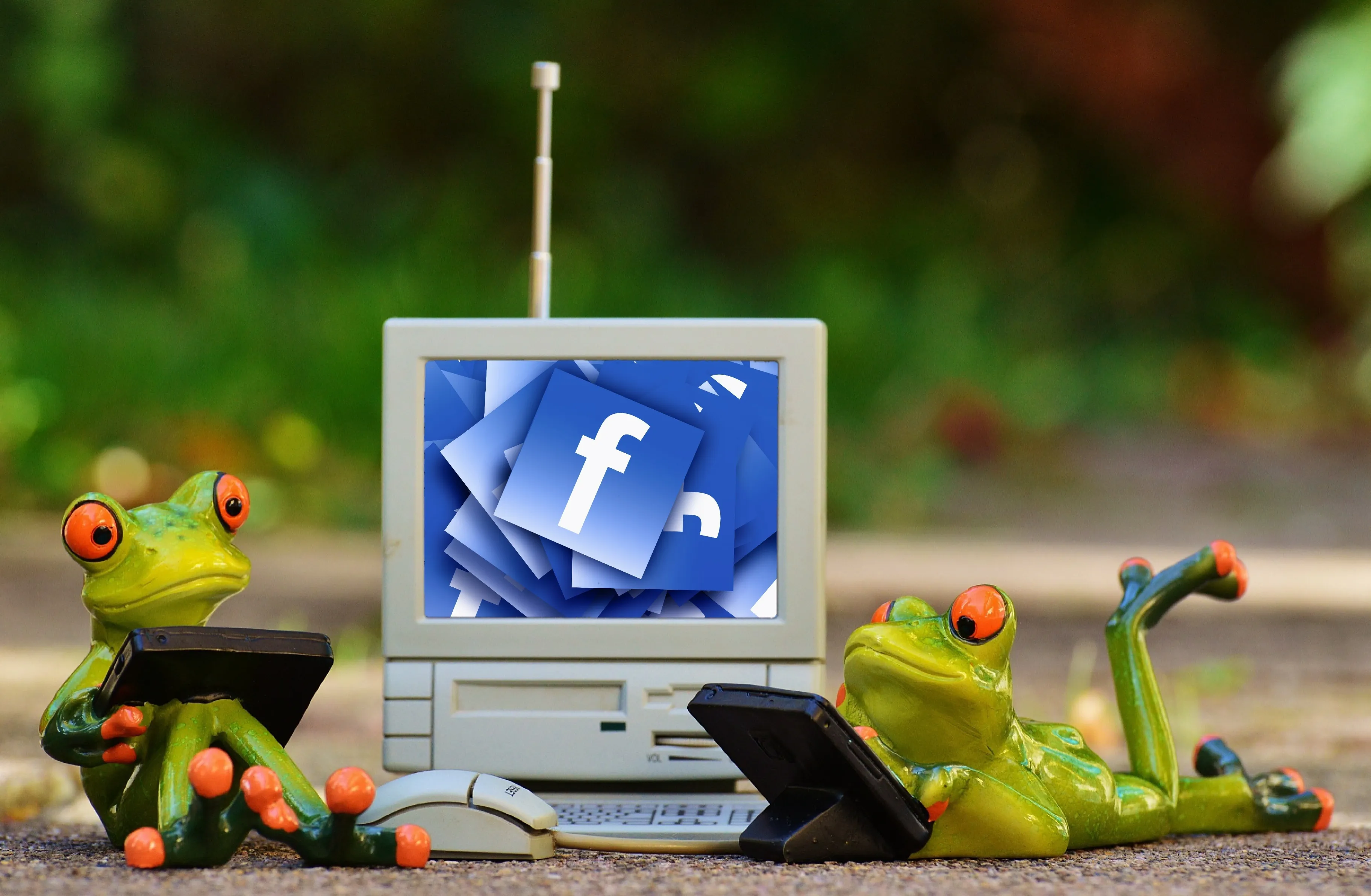 Alcance orgânico nas redes sociais: por que ele caiu tanto