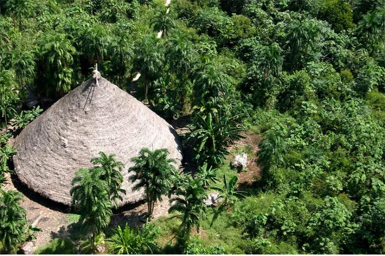 Justiça nega pedido de fazenda e garante terra de 75 mil hectares para indígenas em Apiacás