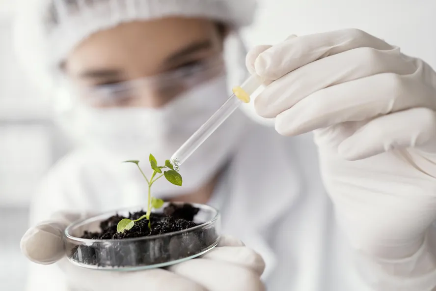 Bioinsumos ganham espaço como estratégia para proteger lavouras dos extremos climáticos