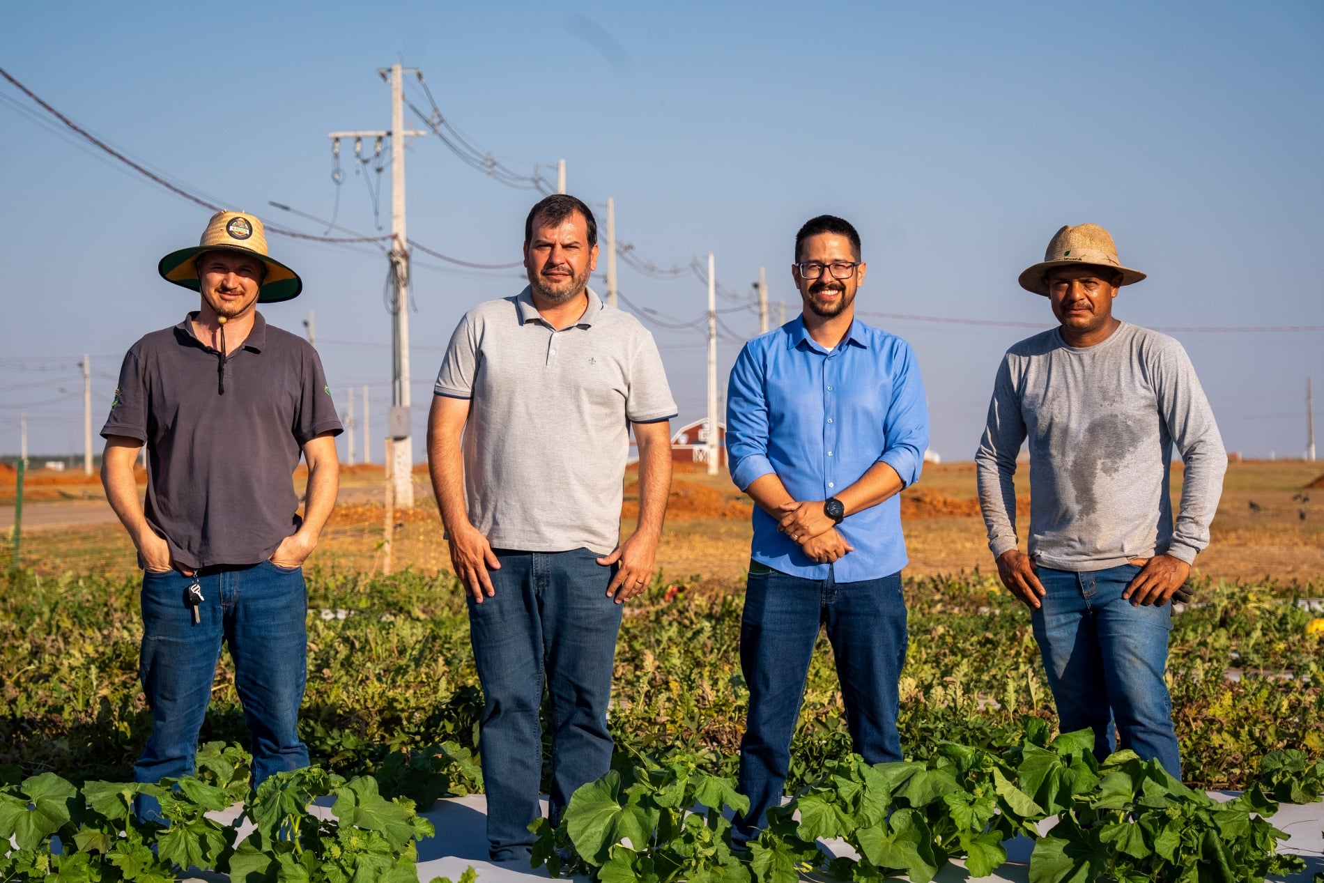 Campo experimental da Secretaria de Agricultura e Meio Ambiente prepara novas tecnologias para o Show Safra 2027