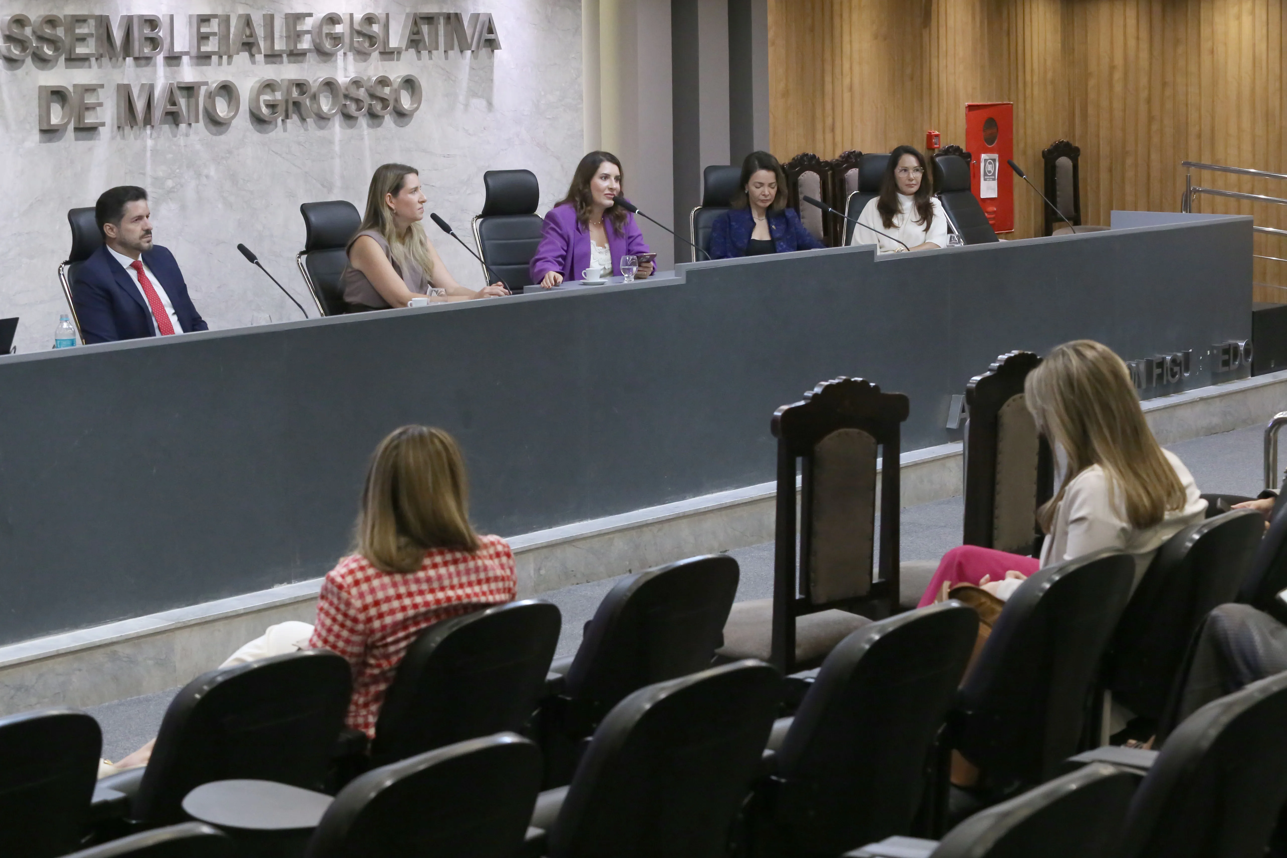 Capacitação “Enxergar para Proteger” reúne especialistas na ALMT para fortalecer rede de atendimento às mulheres em Cuiabá