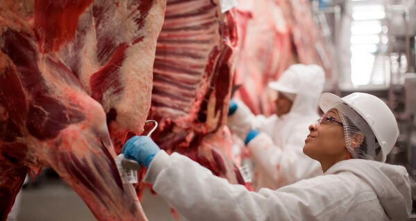 Carne bovina: exportações brasileiras perdem ritmo em julho após semestre histórico