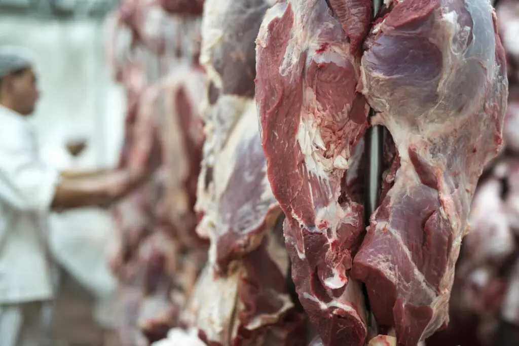 Carne bovina produzida em Mato Grosso chega a 88 países em 2026