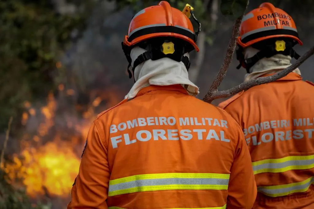 Corpo de bombeiros caminhando em direção à vegetação em chamas