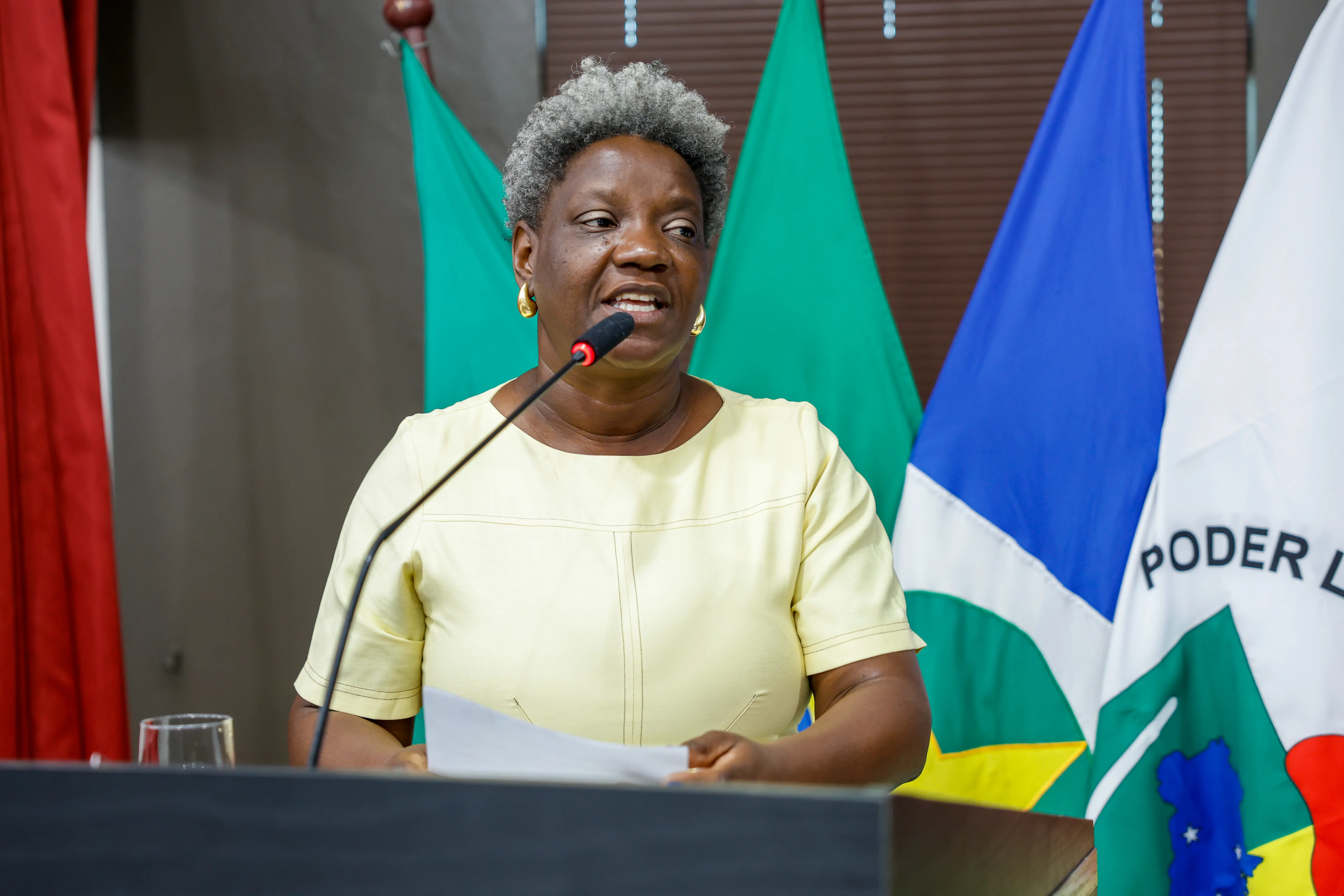 Na tribuna da Câmara, Débora Carneiro citou o artigo 82 do ECA e cobrou atuação conjunta do Conselho Tutelar, fiscalização municipal e famílias para evitar o acolhimento irregular de menores de idade.
