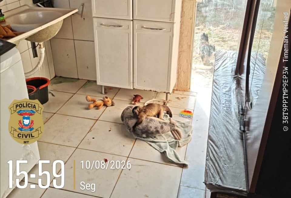 DERF (3)