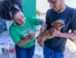 Dia D da Saúde em Cuiabá: saiba onde vacinar cães e gatos contra a raiva neste sábado