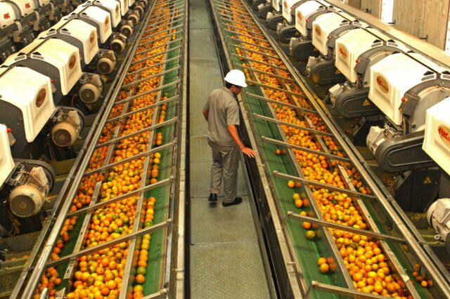 Embarques de sucos de laranja em julho são os maiores para o mês em três anos