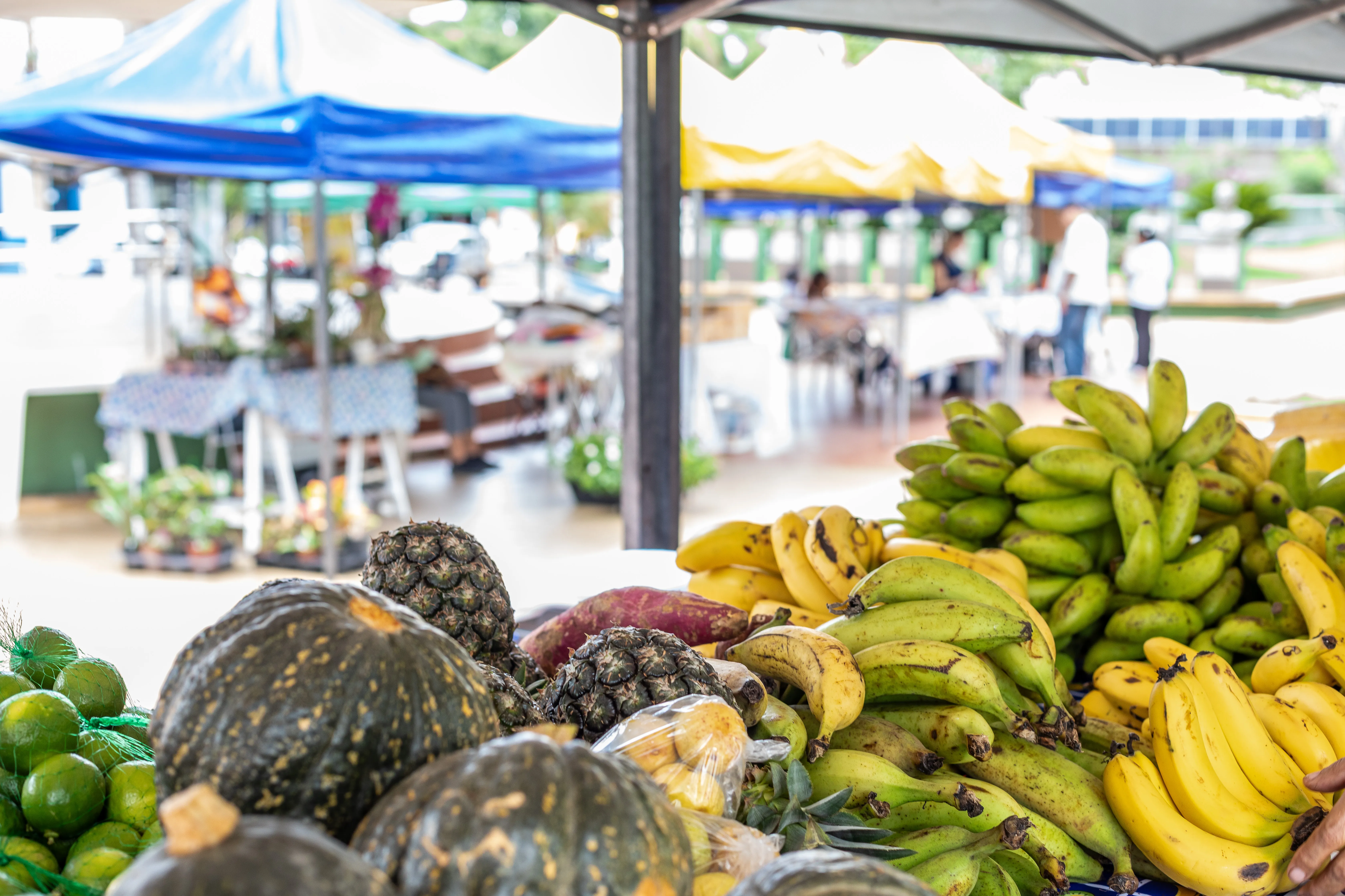 Feira Gastronômica e da Agricultura Familiar