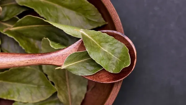 Aromatizador natural muda o cheiro da casa
