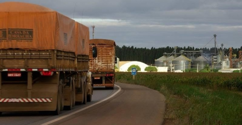 Fretes de grãos têm leve alta em principais rotas de Mato Grosso