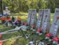 Com verba de R$ 32,5 mil do Juvam, Horto Florestal Tote Garcia ganha reforço de maquinário para arborizar Cuiabá