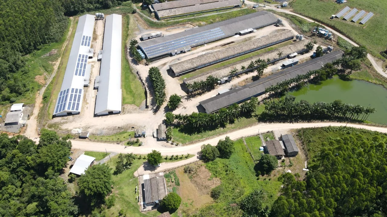 De pai para filho: produtores de Mato Grosso multiplicam produção e se destacam em plataforma de inovação no campo
