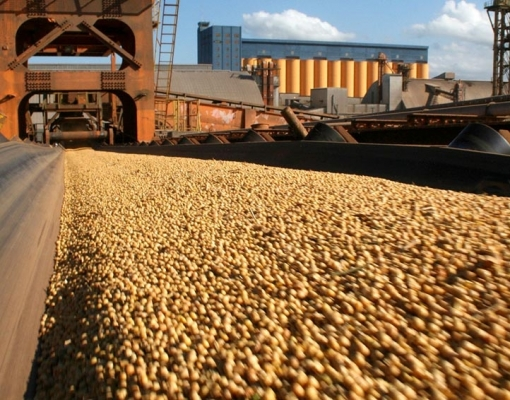 Indústrias de MT processam 8,26 milhões de toneladas de soja até julho, alta de 4,62%
