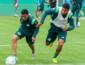 Chapecoense x São Paulo: onde assistir ao vivo e prováveis escalações