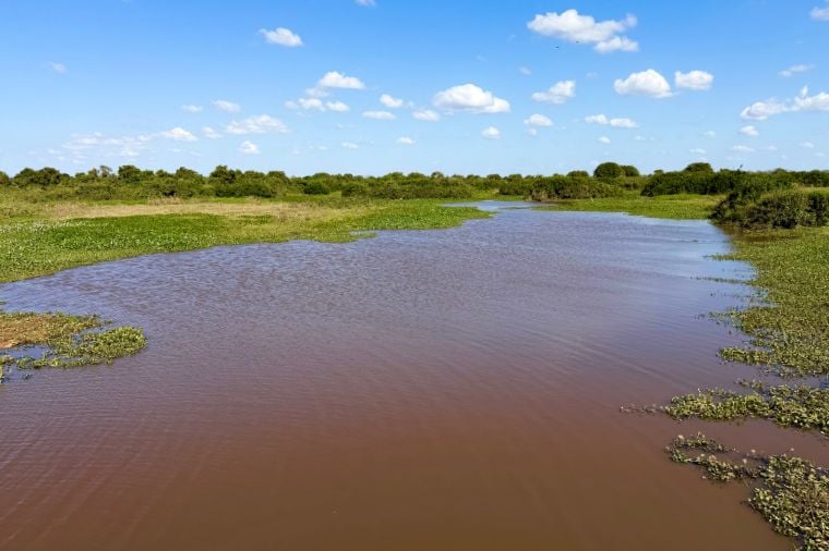 MPMT cobra estudos sobre influência da UHE Manso na seca do Pantanal