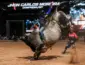 Volta do rodeio da PBR após nove anos e shows sertanejos levam 50 mil pessoas na abertura do AgroFestival em Cuiabá