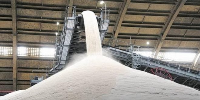 Menor produção sustenta alta do açúcar cristal