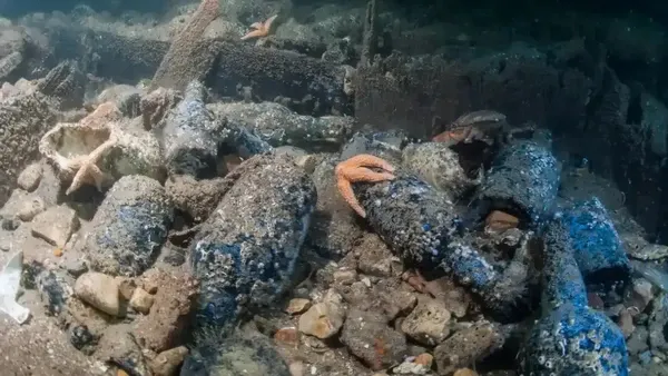 Guinness é encontrada após 162 anos em naufrágio