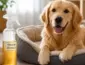 Vinagre de maçã ajuda a eliminar odores da cama pet