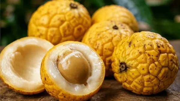 Achachairú: fruta exótica conquista pelo sabor e cultivo