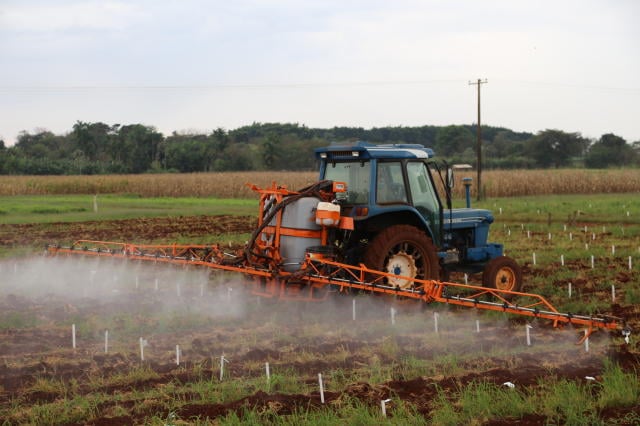 Novo processo viabiliza produção industrial de bioinseticidas com eficácia no controle de pragas agrícolas