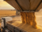 El Niño histórico ameaça safra em Mato Grosso e pode mexer no preço dos alimentos em 2027