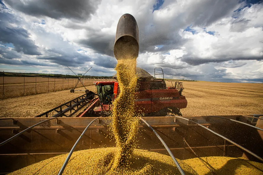 Preços agropecuários sobem 1,53% em julho, aponta Cepea