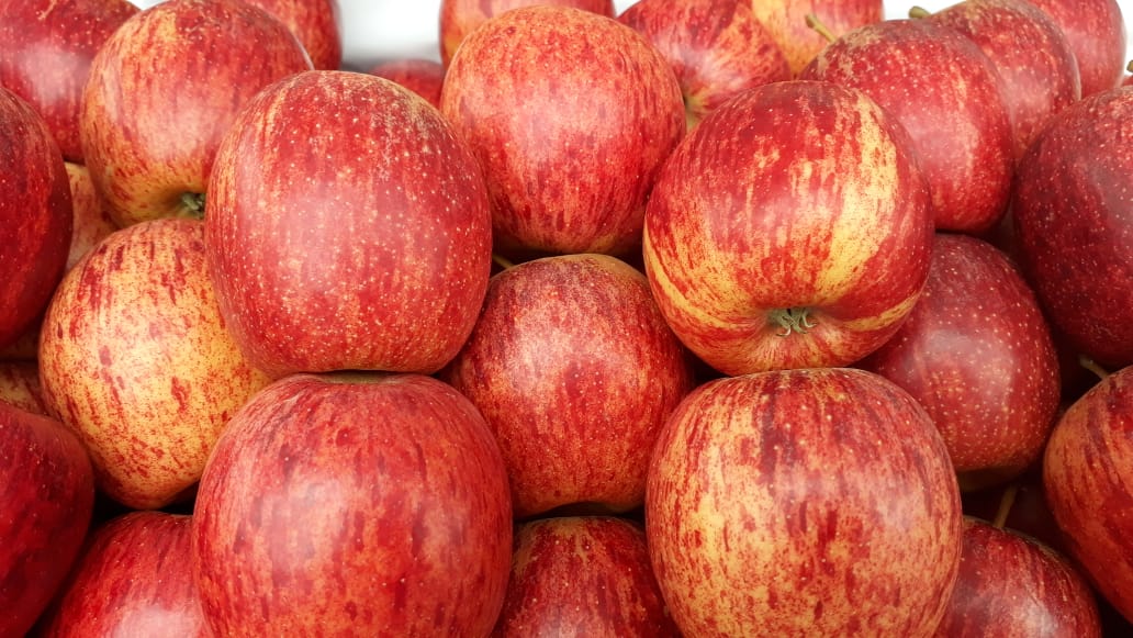 Preços da maçã avançam com redução dos estoques e menor oferta