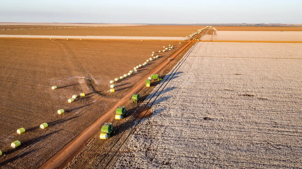 Gigante do agro em Mato Grosso cria treinamento para 11 mil funcionários e transforma inclusão em política permanente