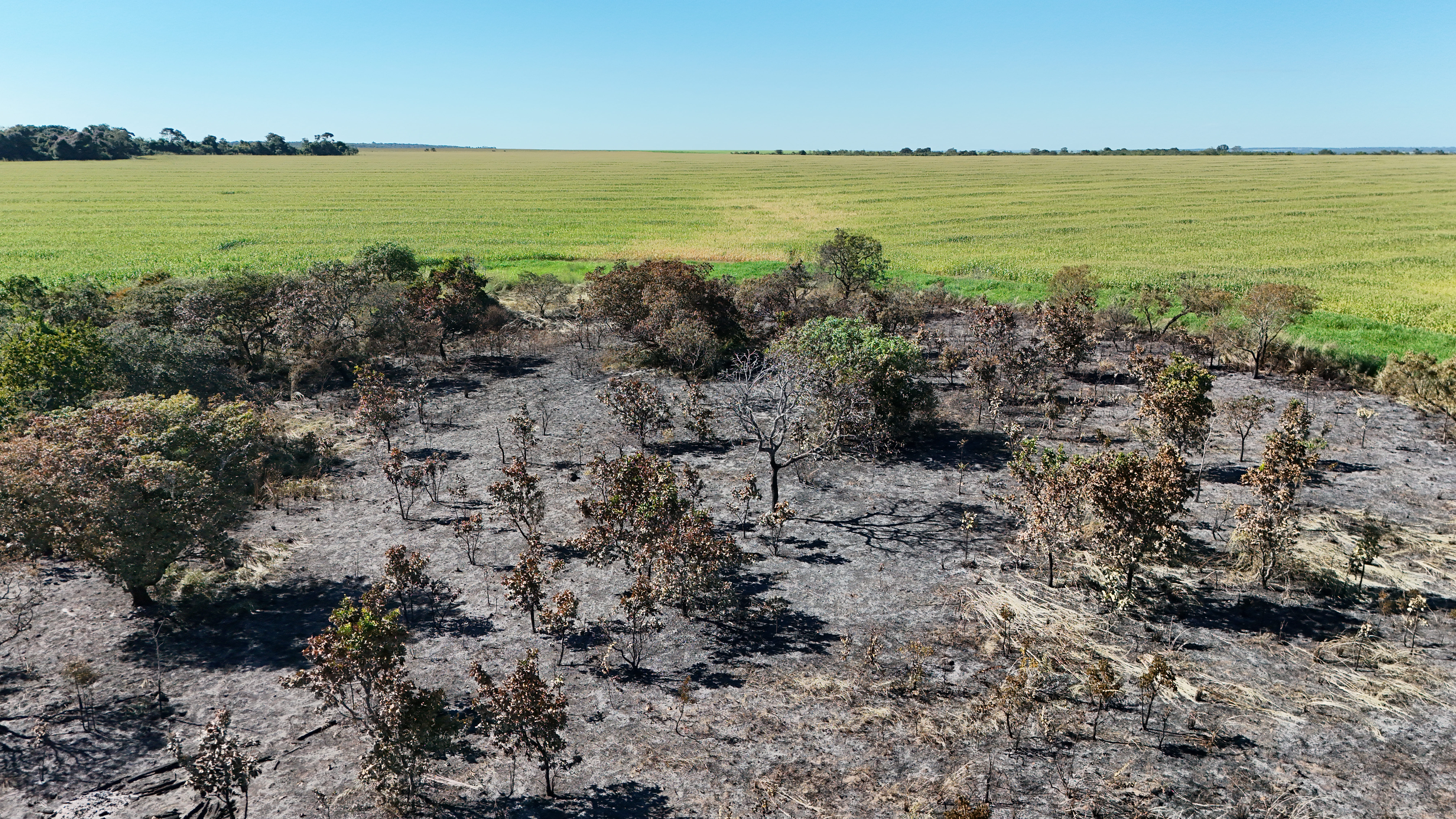 Seca aumenta risco de incêndios e produtores são orientados sobre medidas de prevenção