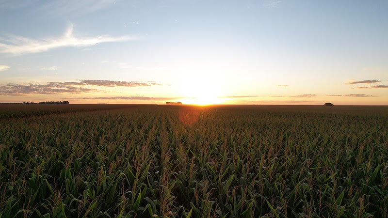 Sistema Famato destaca avanço na destinação correta de embalagens de defensivos agrícolas em Mato Grosso